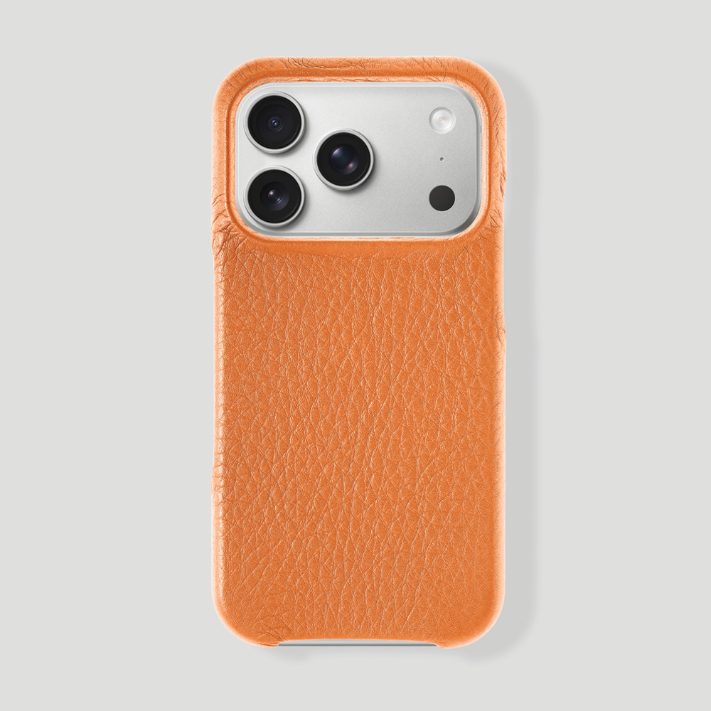 iPhone 17 Pro Max Classic Case