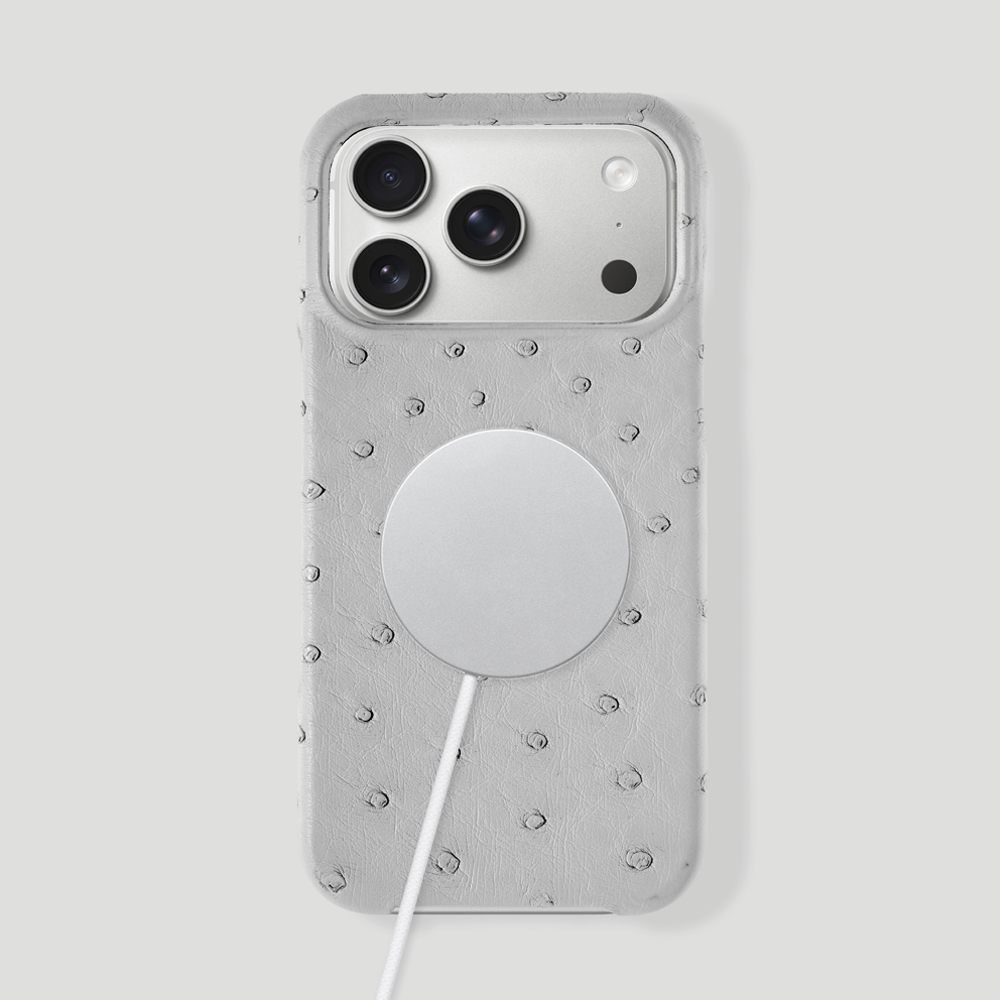 iPhone 17 Pro Max Classic Case