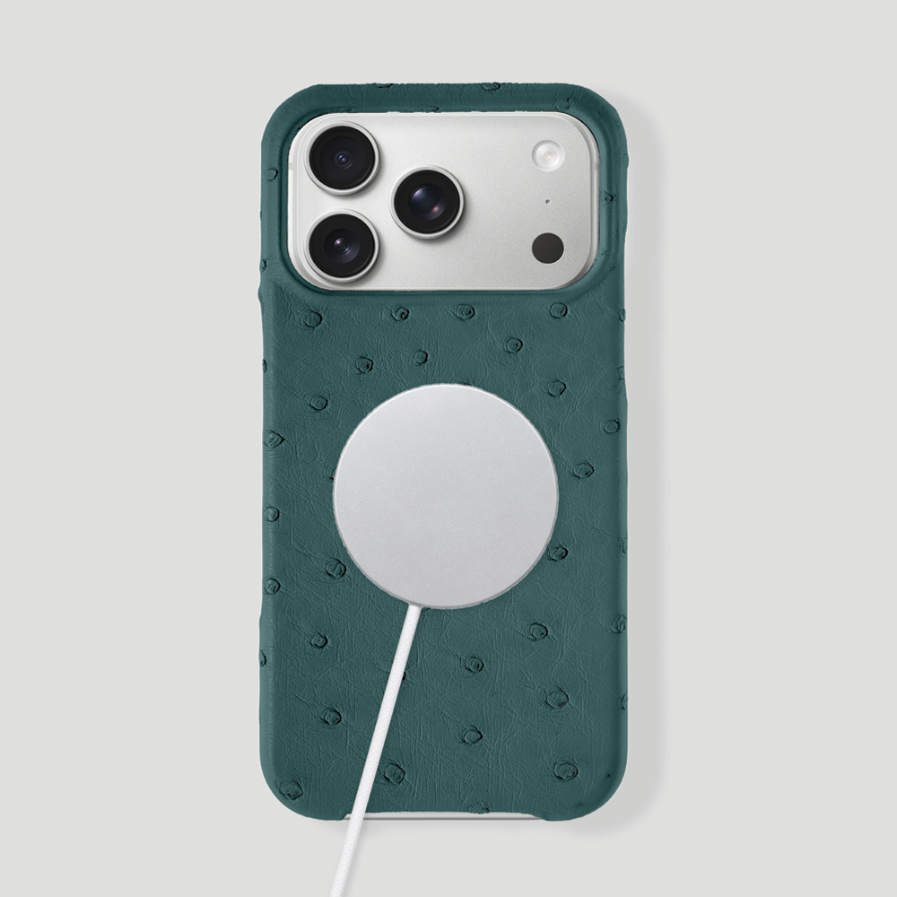 iPhone 17 Pro Max Classic Case